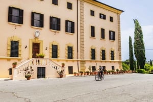 Appia Antica: Noleggio bici per l'intera giornata con percorsi personalizzabili