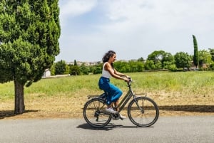 Appia Antica: Noleggio bici per l'intera giornata con percorsi personalizzabili