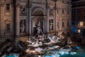 Lo Mejor de Roma de Noche Visita Privada con Chofer