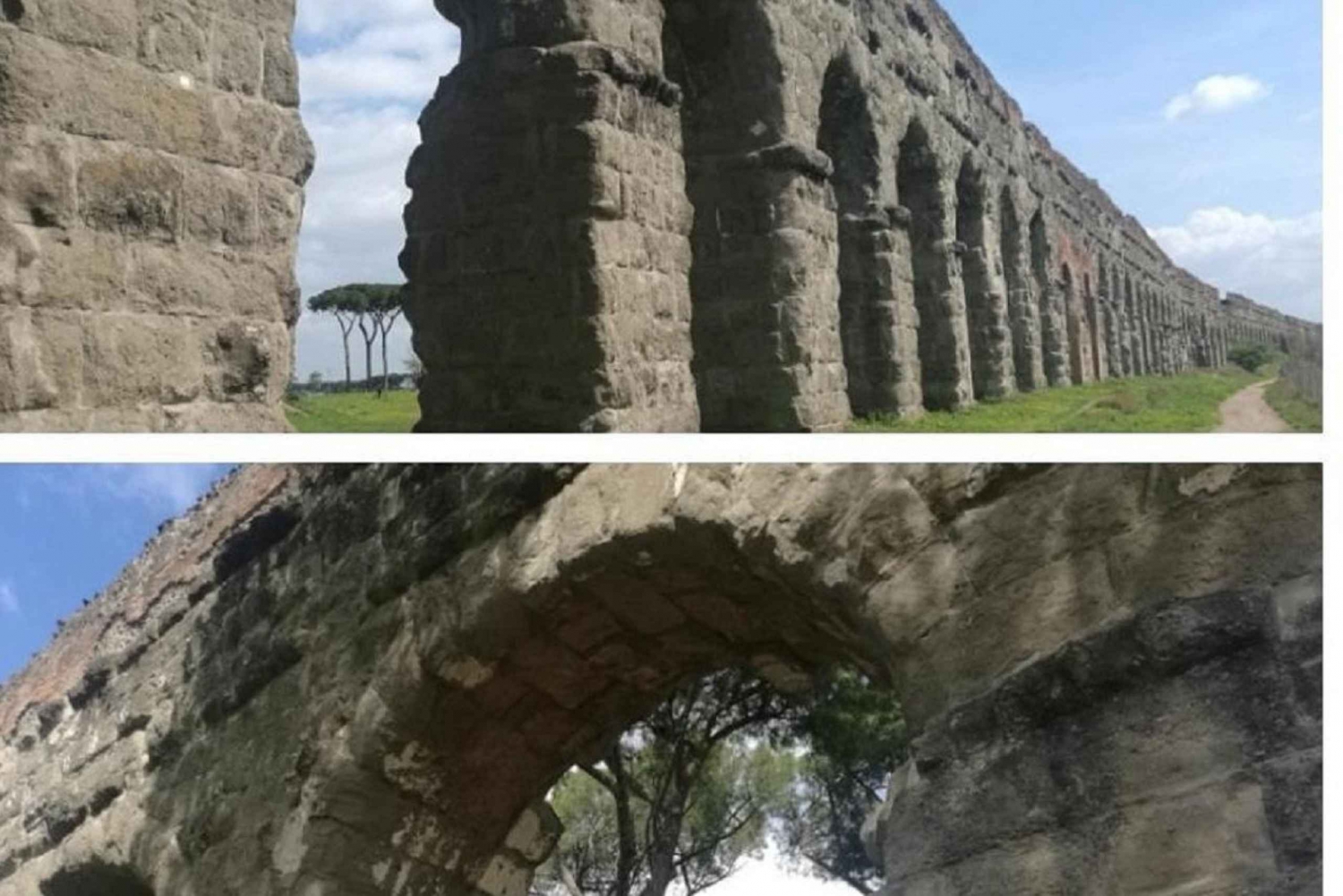 Rome: Private Day Tour with Transportation