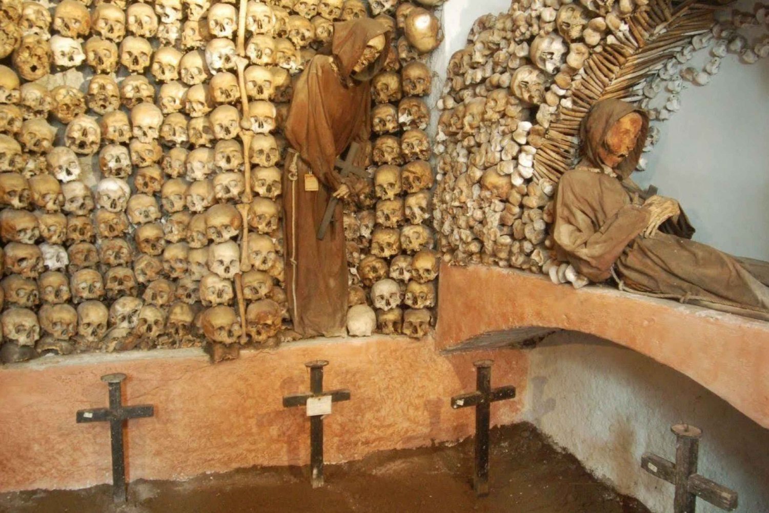 Catacombs guided tour and Capuchin Crypt with Transfer