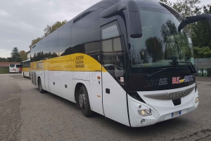 Ciampino Airport: Bus to/from Rome City Center Termini