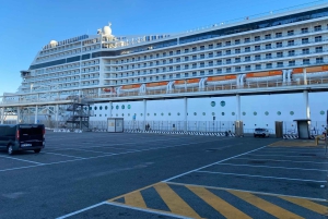 Civitavecchia: Tur til Roms højdepunkter for krydstogtpassagerer