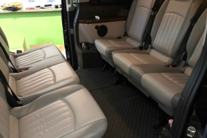 Civitavecchia: Tur til Roms højdepunkter for krydstogtpassagerer