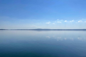 Civitavecchia: Rome Private Shore Excursion with Transfer