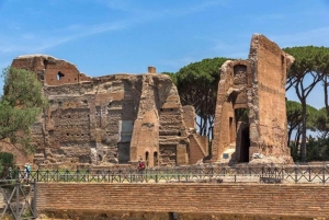 Civitavecchia to Rome Excursion: Vatican, Colosseum & Lunch