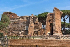 Civitavecchia to Rome Excursion: Vatican, Colosseum & Lunch