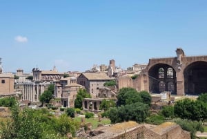 Roma: Colosseum, Forum Romanum og Palatinerhøyden - guidet tur