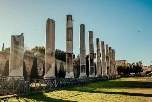 Rondleiding door de arena van het Colosseum: maximaal 6 personen