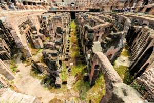 Arena del Colosseo, Foro e Tour delle colline – Opzionale: visita sotterranea