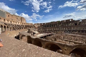 Arena Adventure: Colosseum, Roman Forum, and Palatine Hill