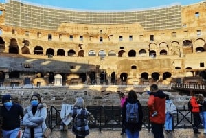 Arena Adventure: Colosseum, Roman Forum, and Palatine Hill
