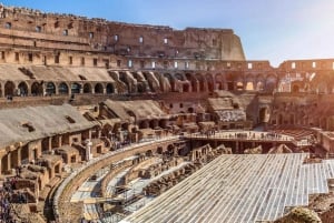 Arena Adventure: Colosseum, Roman Forum, and Palatine Hill