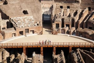Arena Adventure: Colosseum, Roman Forum, and Palatine Hill