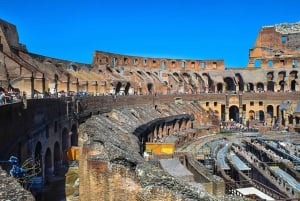 Arena Adventure: Colosseum, Roman Forum, and Palatine Hill