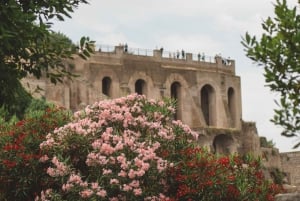 Rundvisning i Colosseum Arena, Palatinerhøjen og Forum Romanum