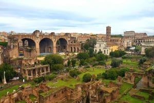Rundvisning i Colosseum Arena, Palatinerhøjen og Forum Romanum