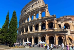 Rome : Visite du Colisée, du Forum romain et de la colline du Palatin