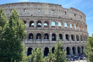 Rome : Visite du Colisée, du Forum romain et de la colline du Palatin