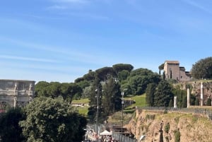 Colosseum, Forum & Palatine-upplevelse med ljudguide APP