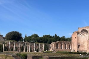 Colosseum, Forum & Palatine-upplevelse med ljudguide APP