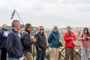 Coliseo, Foro y Monte Palatino: visita guiada por la Roma antigua
