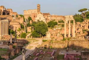 Koloseum: Gladiator's Gate & Arena Floor Experience