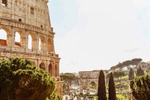 Roma: Visita guiada ao Coliseu, Fórum Romano e Palatino