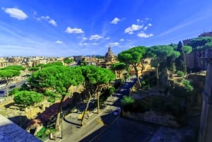 Coliseo, Palatino, Foro Romano: tour por Roma con guía turístico.