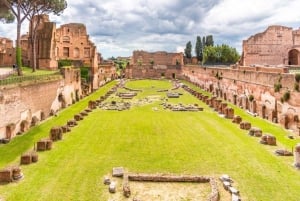 Coliseo, Palatino, Foro Romano: tour por Roma con guía turístico.