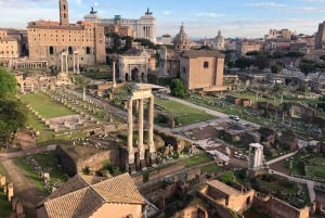 Coliseo, Palatino, Foro Romano: tour por Roma con guía turístico.