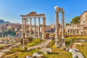 Colosseum, Roman Forum, and Palatine Hill Private Tour