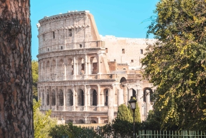 Ingresso al Colosseo, al Foro Romano e al Palatino e audioguida