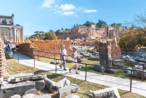 Ingresso al Colosseo, al Foro Romano e al Palatino e audioguida