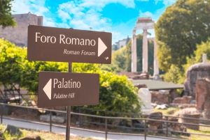Ingresso al Colosseo, al Foro Romano e al Palatino e audioguida