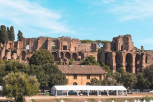 Ingresso al Colosseo, al Foro Romano e al Palatino e audioguida