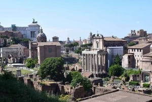 Colosseum, Forum Romanum, Palatinkullen Tur med Arena-alternativ