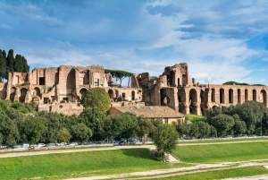 Rome : Accès prioritaire à la visite du Colisée, du Forum romain et du Palatin