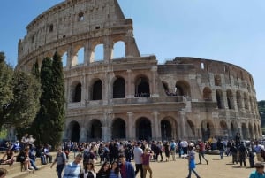 Rome: Colosseum Private Tour