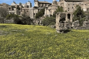 Colosseum, Roman Forum, Palatine Hill