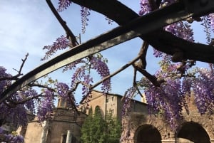 Colosseum, Roman Forum, Palatine Hill