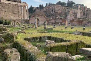 Colosseum, Roman Forum, Palatine Hill