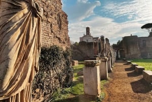 Colosseum Underground och Arena tur 7 personer garanti