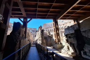 Colisée, souterrains, Forum romain et mont Palatin (maximum 7 personnes)