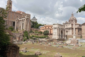 Colisée, souterrains, Forum romain et mont Palatin (maximum 7 personnes)