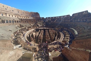 Colisée, souterrains, Forum romain et mont Palatin (maximum 7 personnes)