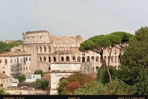 Colisée, souterrains, Forum romain et mont Palatin (maximum 7 personnes)