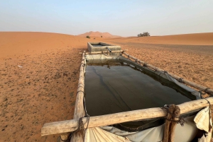 Constantine: 4 days dream tour to el borma desert