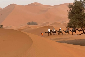Constantine: 4 days dream tour to el borma desert