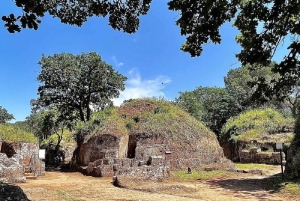 Jednodniowa wycieczka Rzym: Tarquinia i Cerveteri, wycieczka po Etruskach